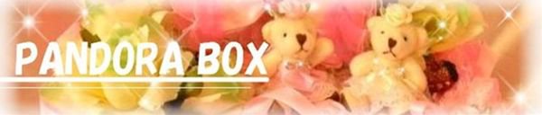 PANDORA BOX -パンドラ ボックス-