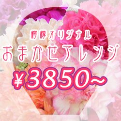 お祝い花のフラワーギフト おまかせアレンジメント 3850円 円