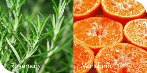 ローズマリー&マンダリン