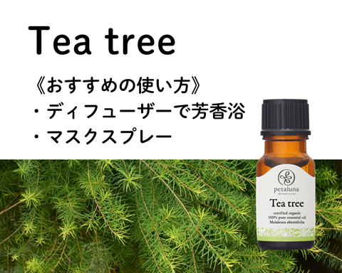 ティートリー