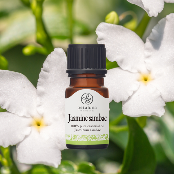 ءۥ㥹ߥ󥵥Хå 2ml