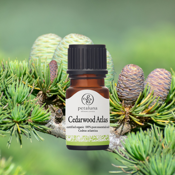 ءۥåɥȥ饹 ACOǧ 5ml