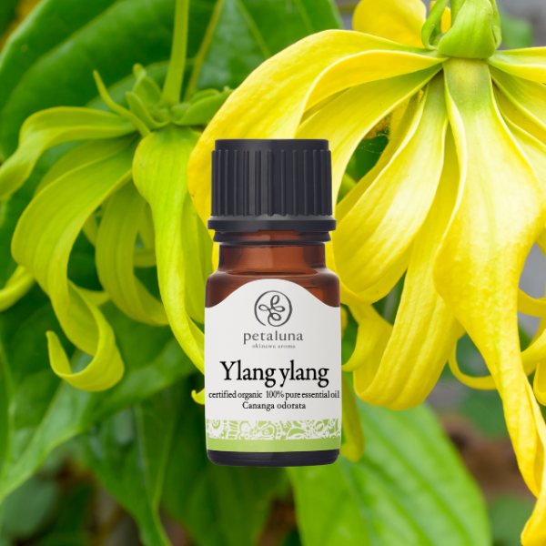 ءۥ󥤥󡦥ե ACOǧ 5ml