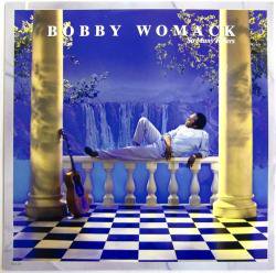 BOBBY WOMACK / SO MANY RIVERS（中古レコード） - BORDERLINE RECORDS