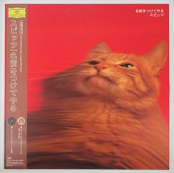 スピッツ / 名前をつけてやる（中古レコード） - BORDERLINE RECORDS