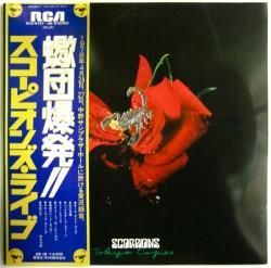スコーピオンズ / 蠍団爆発 !!（中古レコード） - BORDERLINE