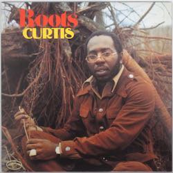 CURTIS MAYFIELD / ROOTS（中古レコード） - BORDERLINE RECORDS