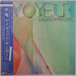 デイヴィッド・サンボーン / 夢魔（中古レコード） - BORDERLINE RECORDS