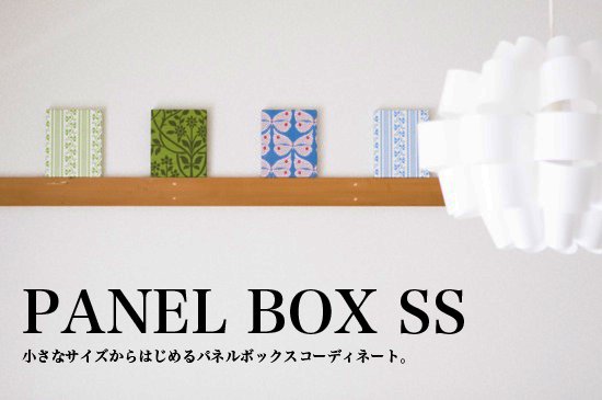 Panel Box SS