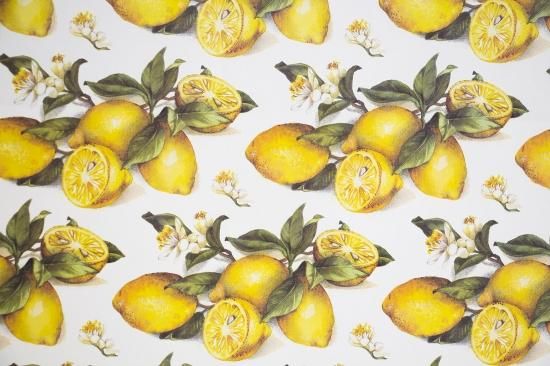 Paper Tassotti Lemon Box Needle Online Boutique 京都の職人による貼箱店 Paper Tassotti Lemon Box Needle Online Boutique 京都の職人による貼箱店