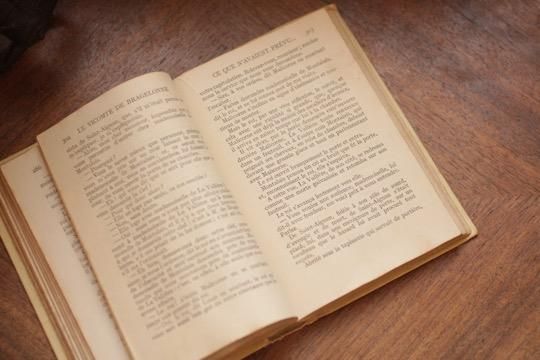 フランス古書 NELSON（ネルソン）社 LE VICOMTE BRAGELONNE