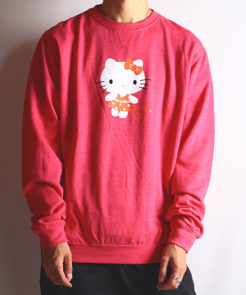 Official Artist Goods / バンドTなど ｜HELLO KITTY / ハローキティ：POLKA DOTS
CREW NECK SWEATER (WASHED PINK)　商品画像9