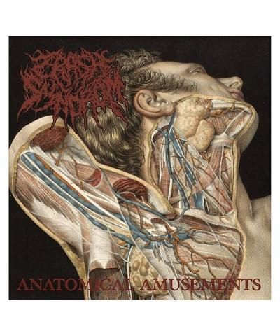 FesterDecay【 CARCASSES REVENGE (輸入盤CD) 】- SIDEMILITIA