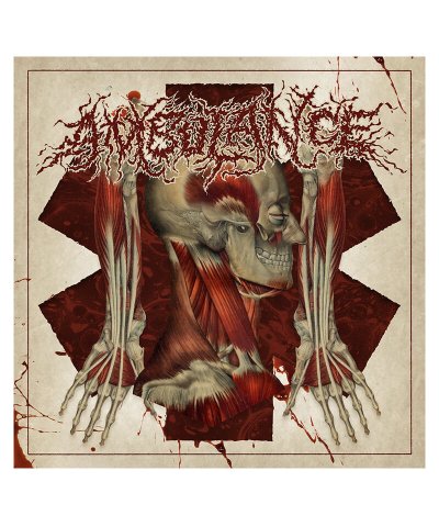CD / DVD / AMBULANCE / アンビュランス：INTRODUCTION OF THE HORRENDOUS PATHOLOGICAL PRACTICES (輸入盤CD) 
