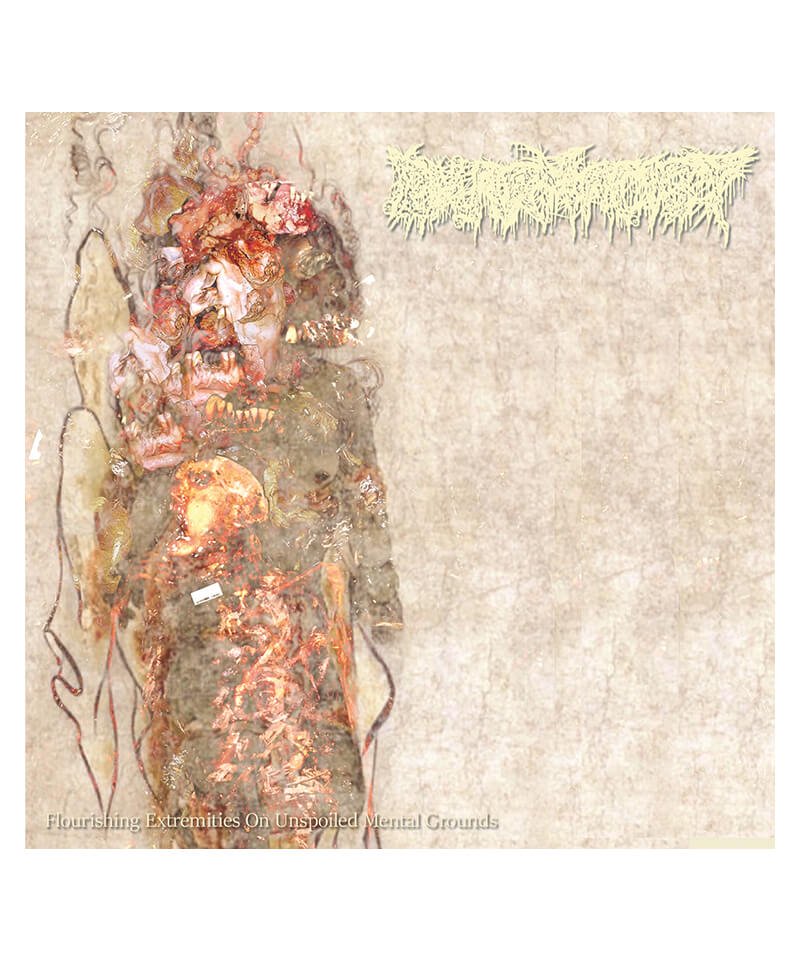 CD / DVD ｜ PHARMACIST / ファーマシスト：FLOURISHING EXTREMITIES ON UNSPOILED MENTAL GROUNDS (輸入盤CD) 商品画像