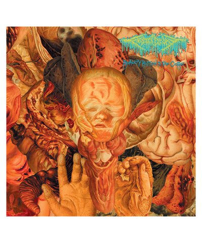 CD / DVD / FesterDecay：REALITY ROTTEN TO THE CORE (輸入盤CD) 