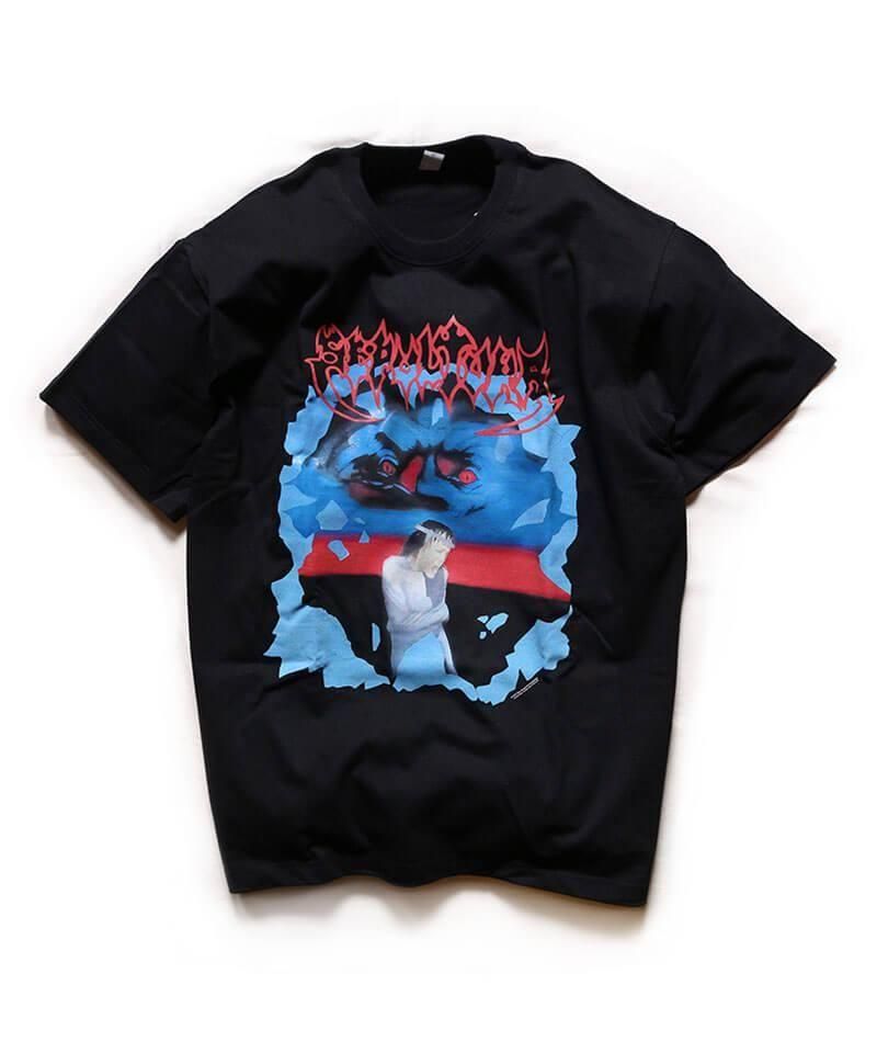 Official Artist Goods / ХTʤ  SEPLTURA / SCHIZOPHRENIA T-SHIRT (NORMAL BODY)ʲ