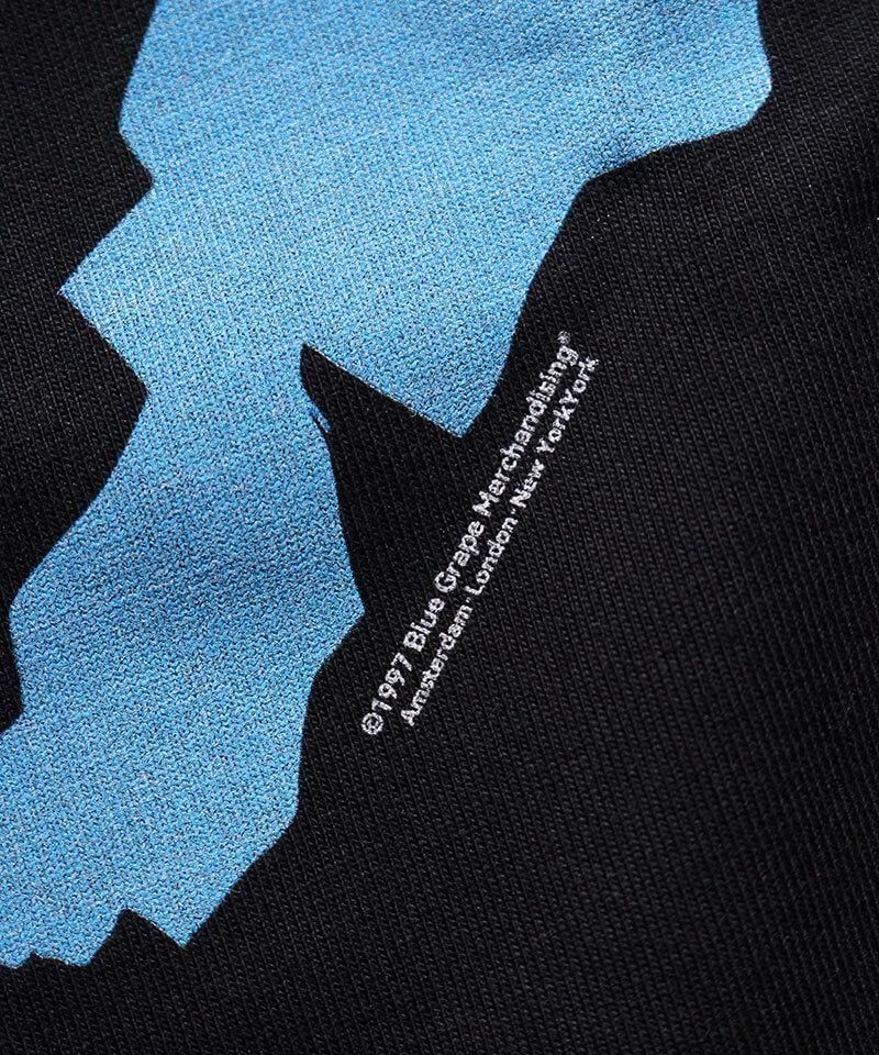 Official Artist Goods / ХTʤ SEPLTURA / SCHIZOPHRENIA T-SHIRT (NORMAL BODY)ʲ5