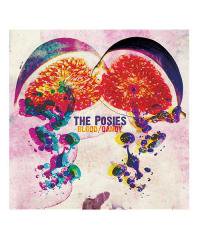 CD / DVD / THE POSIES / ポージーズ：BLOOD/CANDY＋7 (日本盤CD)　