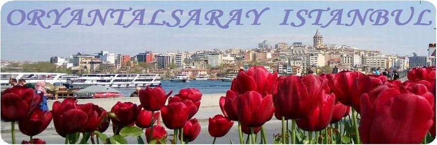 イスタンブールより現地直送のダンスファッション&スポーツウェア専門店「オリエンタルサライ」