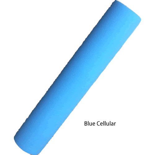 󥻥ץȣѥ󥵥ɥ塼<br>Blue Cellular 