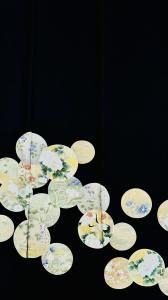 ߥʪ/αµ<BR>ܶĻʸԤ