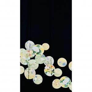 ߥʪ/αµ<BR>ܶĻʸԤ