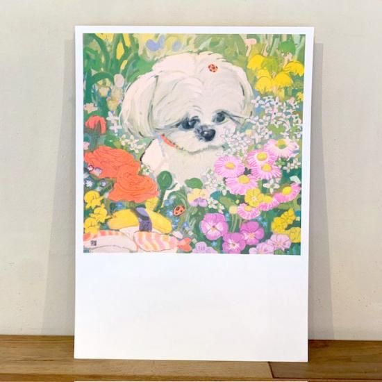 OINUリソポスター（花が咲いたよ） イケガミヨリユキ - FOLK old