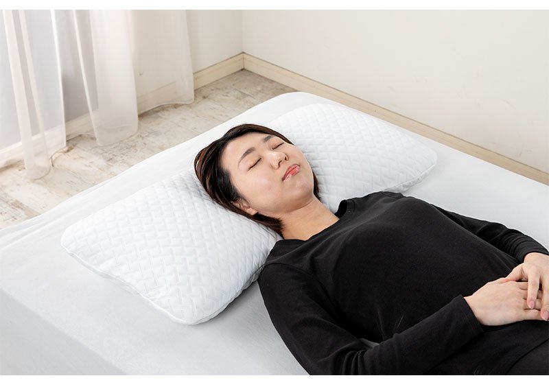 フランスベッド 低反発ピロー（クイーンメモリー）＆ピロケース - 枕