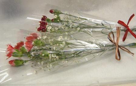 １本ラッピング花束スプレーカーネーション カスミ草 卒業式 結婚式 フラワーギフトhana Hana