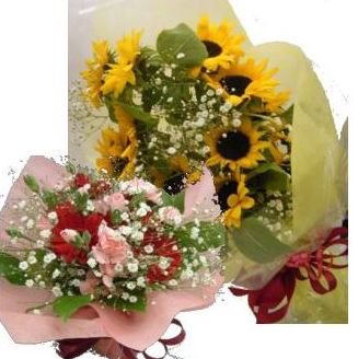 母の日 父の日セット 送料無料 花束 カーネーション ひまわりの花束 フラワーギフトhana Hana