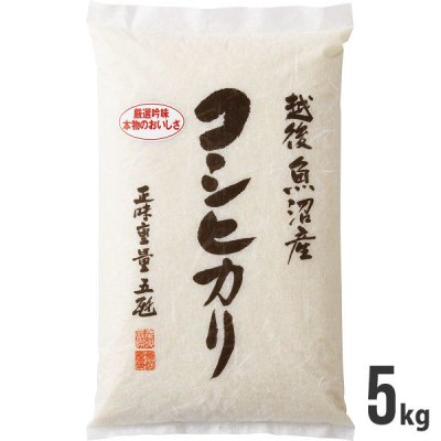    㸩» ҥ 5kg ܤΤ  ֥   £ ѡƥ ץ쥼 뺧 л ࿦ ۤ (6) ڤΤԲġ<img class='new_mark_img2' src='https://img.shop-pro.jp/img/new/icons30.gif' style='border:none;display:inline;margin:0px;padding:0px;width:auto;' />