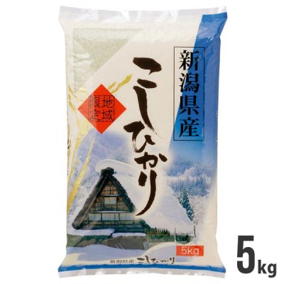    㸩 ҥ 5kg ܤΤ  ֥   £ ѡƥ ץ쥼 뺧 л ࿦ ۤ (6) ڤΤԲġ<img class='new_mark_img2' src='https://img.shop-pro.jp/img/new/icons30.gif' style='border:none;display:inline;margin:0px;padding:0px;width:auto;' />