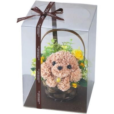  ե ƥեե եѥԡ ȥסɥ   襤   ¤ ƥꥢ 1000132672<img class='new_mark_img2' src='https://img.shop-pro.jp/img/new/icons30.gif' style='border:none;display:inline;margin:0px;padding:0px;width:auto;' />