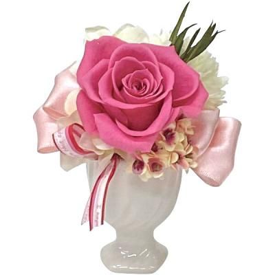  ե ץꥶ֥ɥե ꥣ ԥ  襤   ƥꥢ bc-13098-P<img class='new_mark_img2' src='https://img.shop-pro.jp/img/new/icons30.gif' style='border:none;display:inline;margin:0px;padding:0px;width:auto;' />