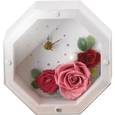  ե ץꥶ֥ɥե MOLY ƥۥ磻 ֻ  襤   ƥꥢ<img class='new_mark_img2' src='https://img.shop-pro.jp/img/new/icons30.gif' style='border:none;display:inline;margin:0px;padding:0px;width:auto;' />