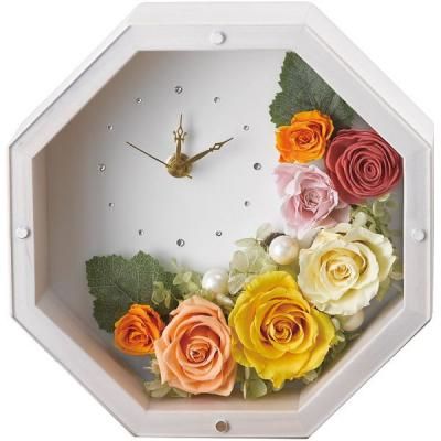  ե ץꥶ֥ɥե LOLY ƥۥ磻 ֻ  襤   ƥꥢ<img class='new_mark_img2' src='https://img.shop-pro.jp/img/new/icons30.gif' style='border:none;display:inline;margin:0px;padding:0px;width:auto;' />