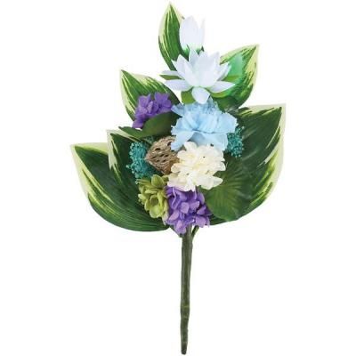  ե ¤ ȥե ͵ʩ ʩ ʩ ʪ ͽ ʪ ֤   ˡ   汢  49  ƶ ʪ  C37400S<img class='new_mark_img2' src='https://img.shop-pro.jp/img/new/icons30.gif' style='border:none;display:inline;margin:0px;padding:0px;width:auto;' />