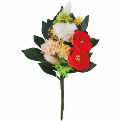  ե ¤ ȥե ͵ʩ ʩ ʩ ʪ ͽ ʪ ֤   ˡ   汢  49  ƶ ʪ  C37410S<img class='new_mark_img2' src='https://img.shop-pro.jp/img/new/icons30.gif' style='border:none;display:inline;margin:0px;padding:0px;width:auto;' />