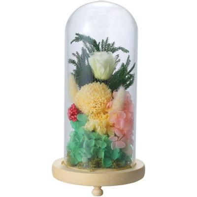  ե ץꥶ֥ɥե 饹ɡ 󥸥 ʩ ʩ ʪ ͽ ʪ ֤  ˡ   49 ƶ ʪ  C20030L<img class='new_mark_img2' src='https://img.shop-pro.jp/img/new/icons30.gif' style='border:none;display:inline;margin:0px;padding:0px;width:auto;' />