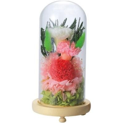  ե ץꥶ֥ɥե 饹ɡ 󥸥 ʩ ʩ ʪ ͽ ʪ ֤  ˡ   49 ƶ ʪ  C29320<img class='new_mark_img2' src='https://img.shop-pro.jp/img/new/icons30.gif' style='border:none;display:inline;margin:0px;padding:0px;width:auto;' />