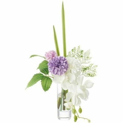 ե ¤ ȥե ץ 饹 ⥫&ޥ ʩ ʩ ʪ ͽ ֤  ˡ   ƶ ʪ  PRSY-0139W<img class='new_mark_img2' src='https://img.shop-pro.jp/img/new/icons30.gif' style='border:none;display:inline;margin:0px;padding:0px;width:auto;' />
