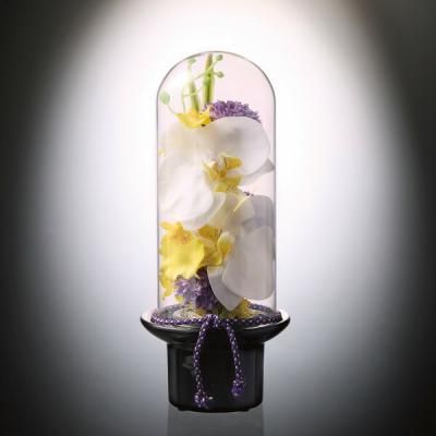  ե ¤ ȥե ץ 饹ɡζ ĳ ʩ ʩ ʪ ͽ ʪ ֤  ˡ   49 ƶ ʪ  PRSY-0132<img class='new_mark_img2' src='https://img.shop-pro.jp/img/new/icons30.gif' style='border:none;display:inline;margin:0px;padding:0px;width:auto;' />