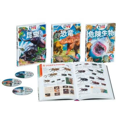  ե  Ƹ ظ ޴LIVE DVD  ʪ ε 3 å ͤ碌 ɤ å 8881163900<img class='new_mark_img2' src='https://img.shop-pro.jp/img/new/icons30.gif' style='border:none;display:inline;margin:0px;padding:0px;width:auto;' />