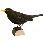 Blackbird （ブラックバード、クロウタドリ）