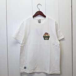 チャムス/CHUMS/CHUMS Cactus T-Shirt / White