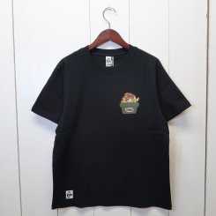 チャムス/CHUMS/CHUMS Cactus T-Shirt / Black