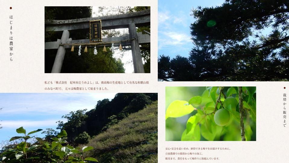 縁-ENISHI- 375ml - 和歌山の梅酒や梅干し通販｜カリカリ梅・南