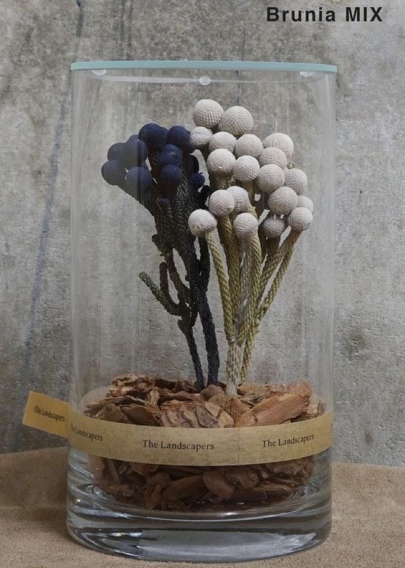 フラワー・ガーデニング The Landscapers DRY CYLINDER INDIGO DYE DRY CYLINDER 