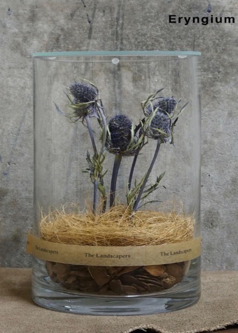 The Landscapers / DRY CYLINDER -Eryngium- / Light Wood